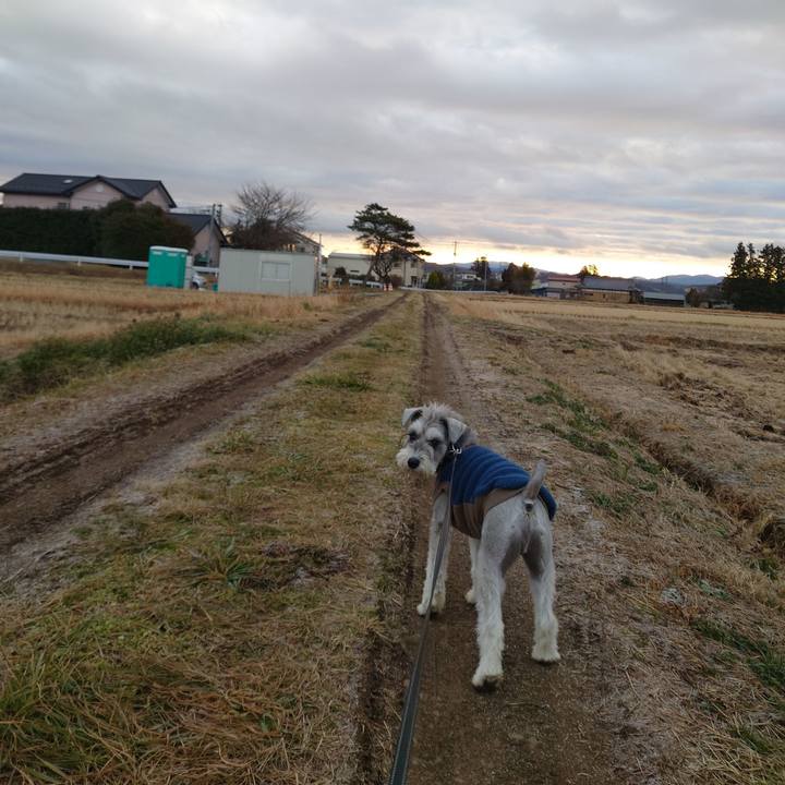 62f8f7fb 0cff 477b a7ae 0a77067c780a 1767569627126