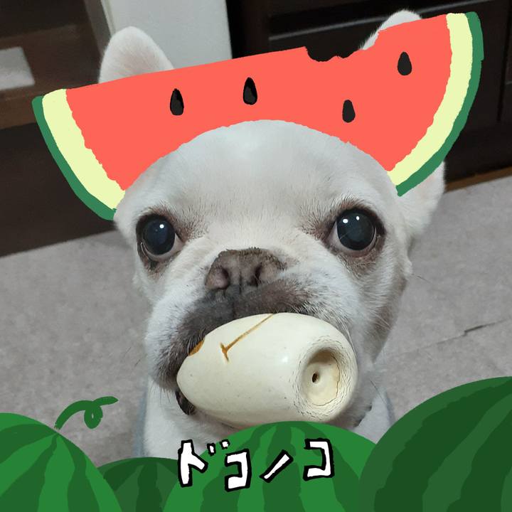 62f912e5 ab28 4e2a adb2 a82ab785019e 1720771132700