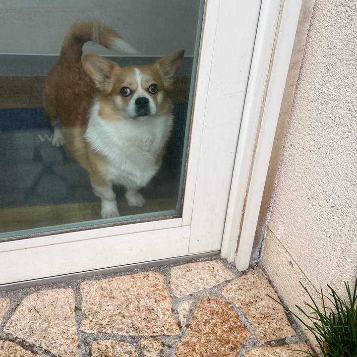 62f95b77 fce5 46d9 b80c 2a4f74950a5c 1736138866549