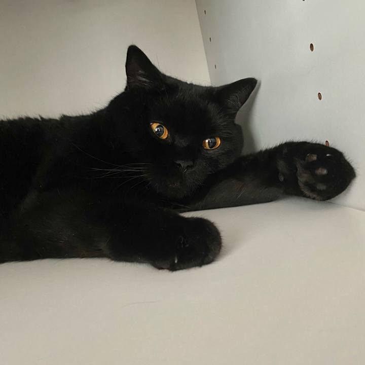 62f98876 508b 44c2 b883 90dbaf52e378 1658712151936