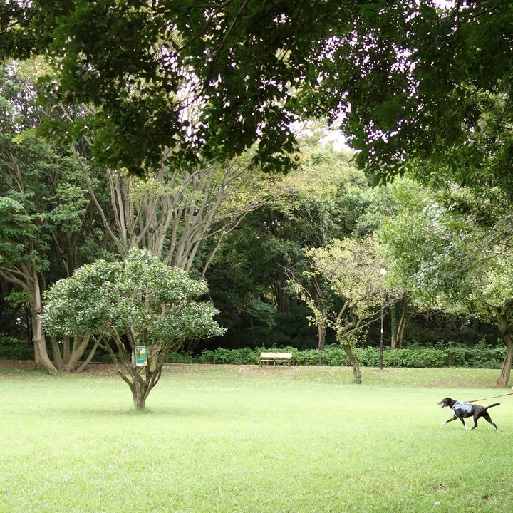 62f98dab a95c 46f9 9c1e bb7b1fc55156 1727223782491