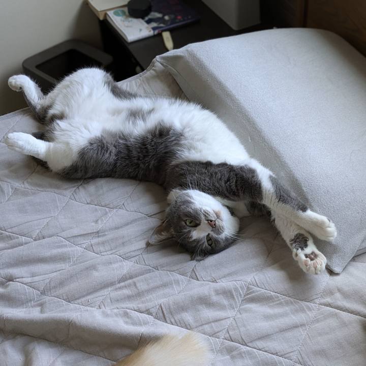 62f99091 70c0 4852 a5ad f4219a7b5ee1 1751105026194