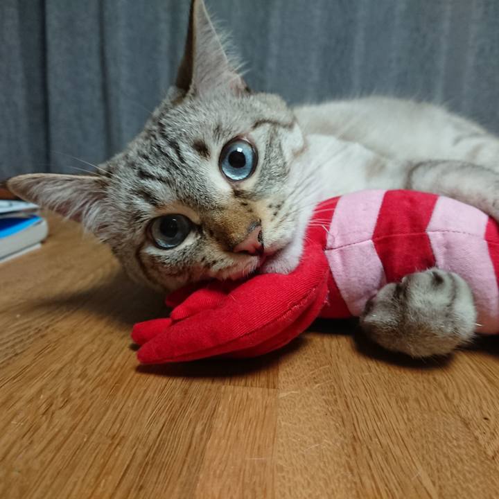 62f9923e 9b8a 4652 b226 f45a47af3470 1567252951993