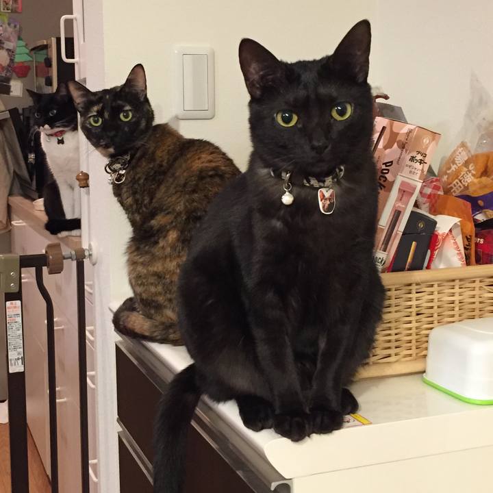 62f996af c558 4db8 a102 69bf004b325f 1516285355265