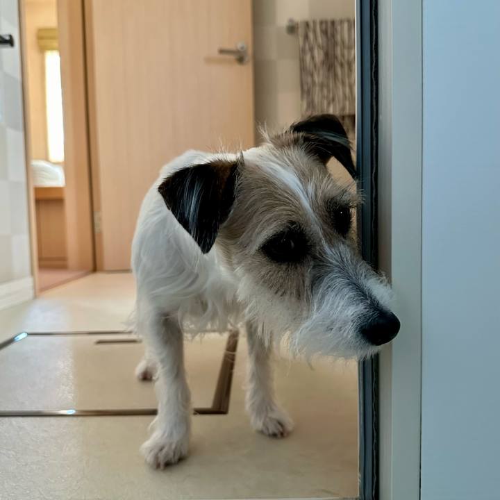 62f9972d 87c3 46ac a1f6 7c5e77ce59ab 1708266281980