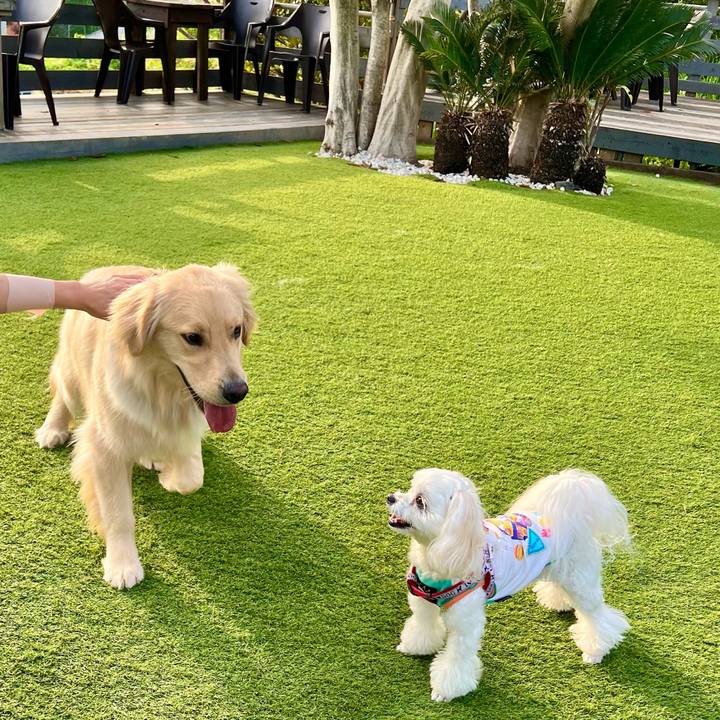 62f99edf 73e9 48f4 9e5b 25cd0796d204 1650704920013