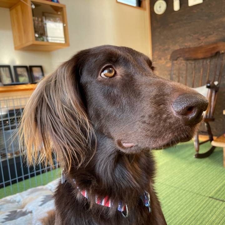 62f9b9ab 4ff7 469d a241 8535eeb76ed3 1612853196295