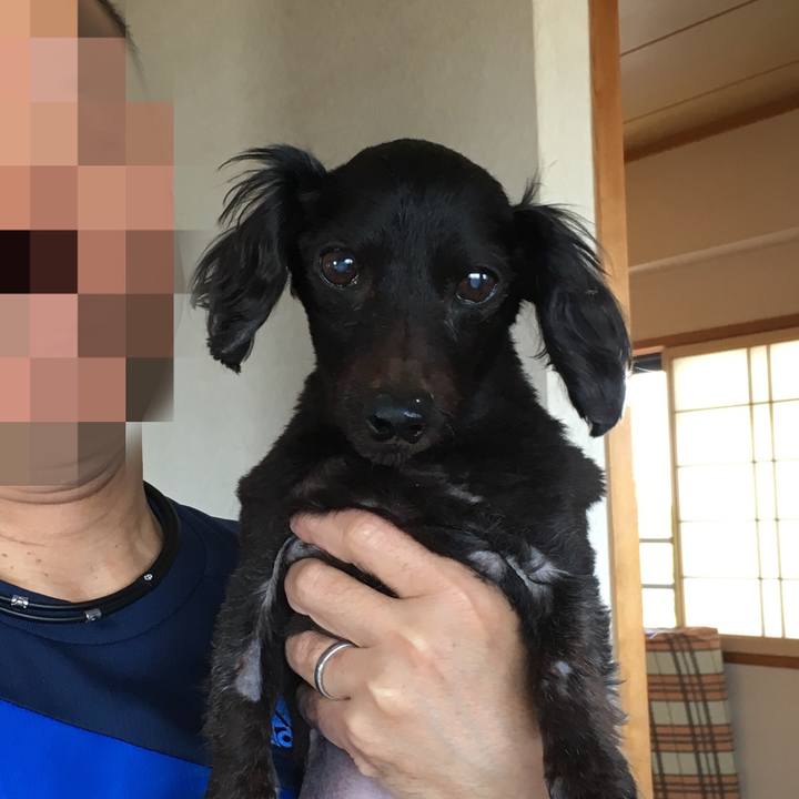 62fa4606 8673 49e0 8a60 2ce4828b312c 1557542565147