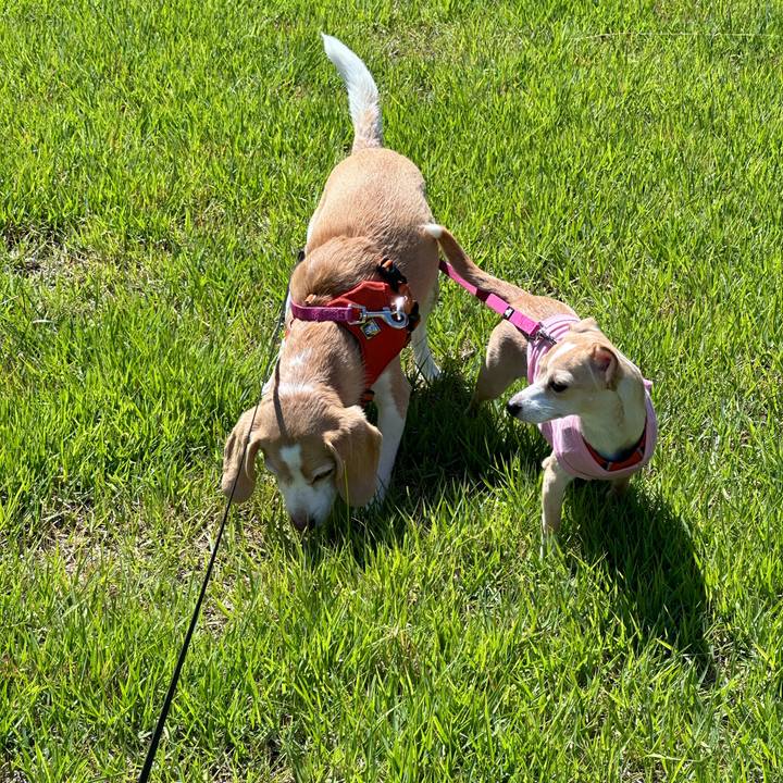 62fa529e e2c4 479c a378 4eb44516a604 1690943862615