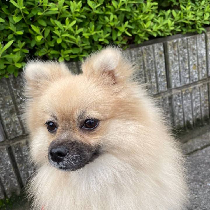 62fa7fa8 e845 4f04 8818 118fdc14a6a1 1625666078991