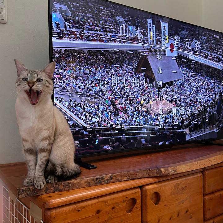 62fa8f22 5a3b 4fdc ab15 2427d36b3360 1758096800376