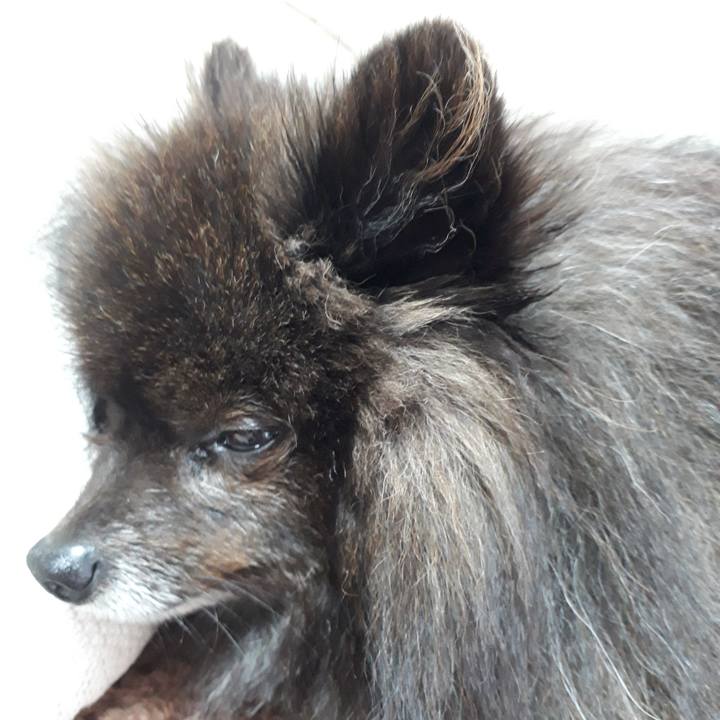 62fab0b0 9581 49b3 a5e2 d4104d3f7177 1519176635552