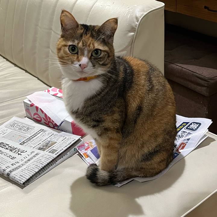 62fab0d5 f01d 45b7 b376 d6f20684048f 1674812098779