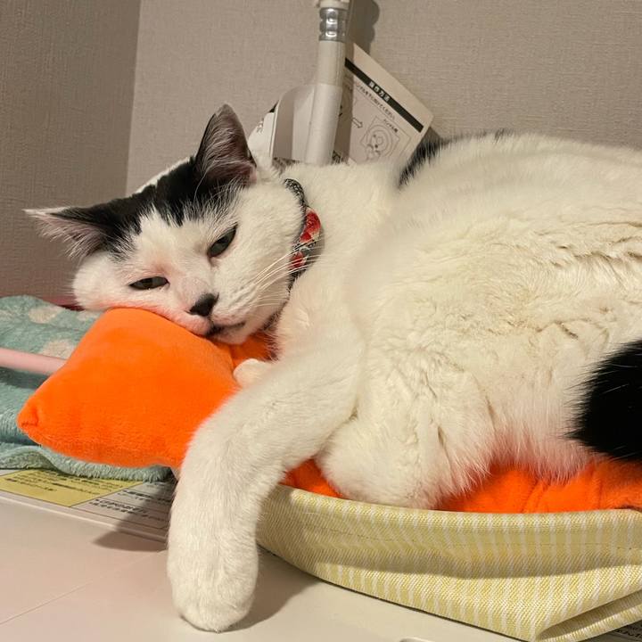 62fb08f5 7a4c 47f0 b9e4 f48c2ec79220 1706571359125