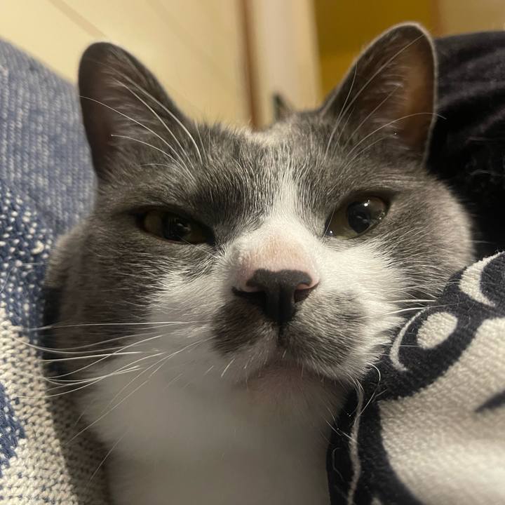 62fb16c8 51a5 46a5 b087 deb5e7b058d2 1651858533793