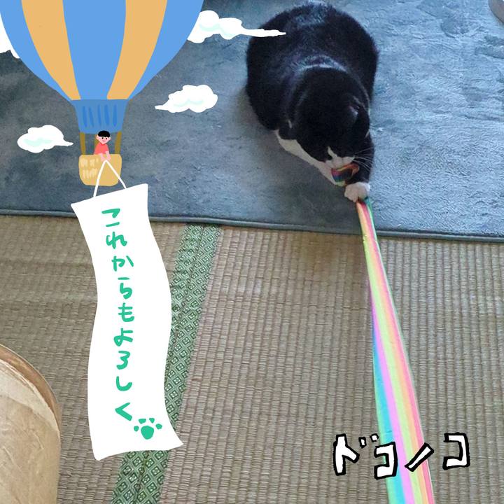 62fb1ca2 eeac 47f7 98e7 283815b30f00 1685959036386