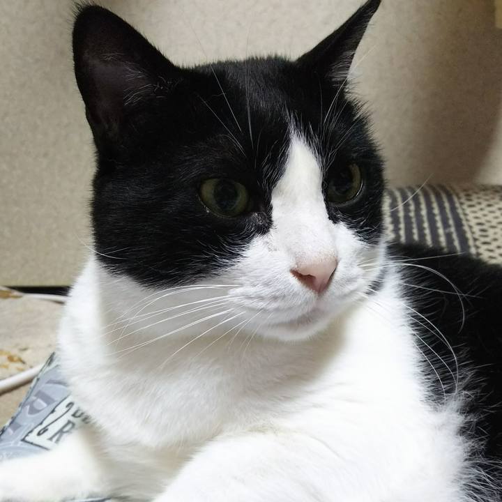 62fb1e79 1522 4a01 a11d db08fce9ee80 1530049209439