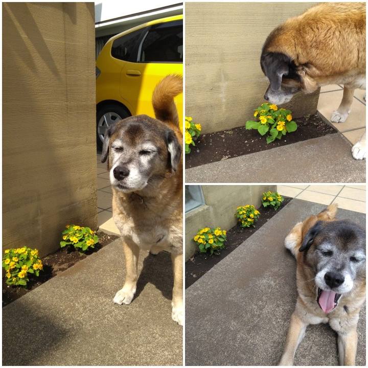 62fb6017 be77 4809 95d6 031aeab036b4 1558517775975