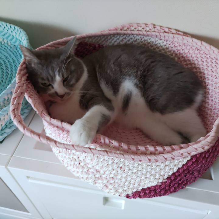 62fb914e 26b1 4552 bfd2 7fd2d1cf8b5d 1689977812786