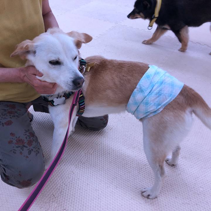 62fbbf1e 14cd 4276 8612 4a38e31fc075 1623715234889