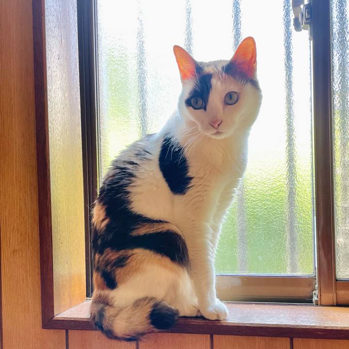 62fbe092 f14d 43dc b62a 9a52c598826e 1654739044102