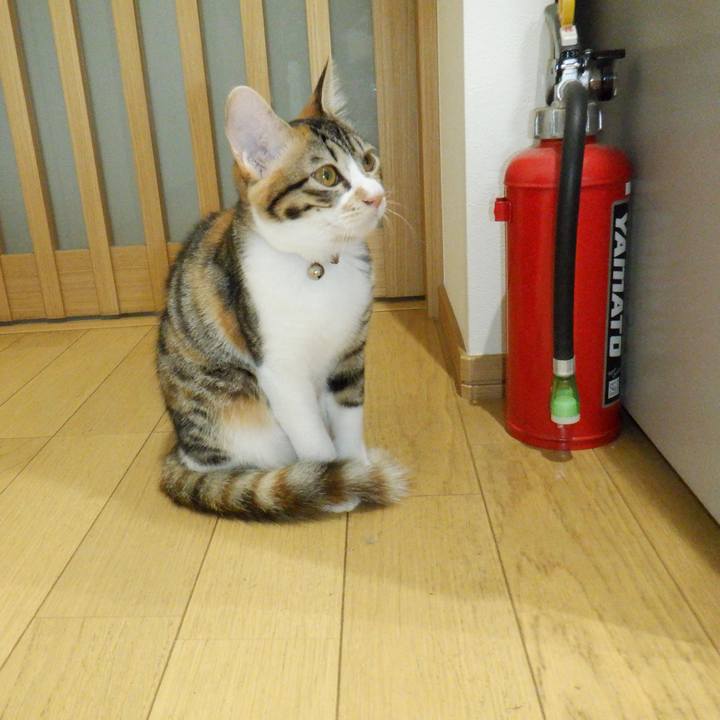 62fc33c8 cf2a 40cb ba01 240ff41d3974 1632867451899