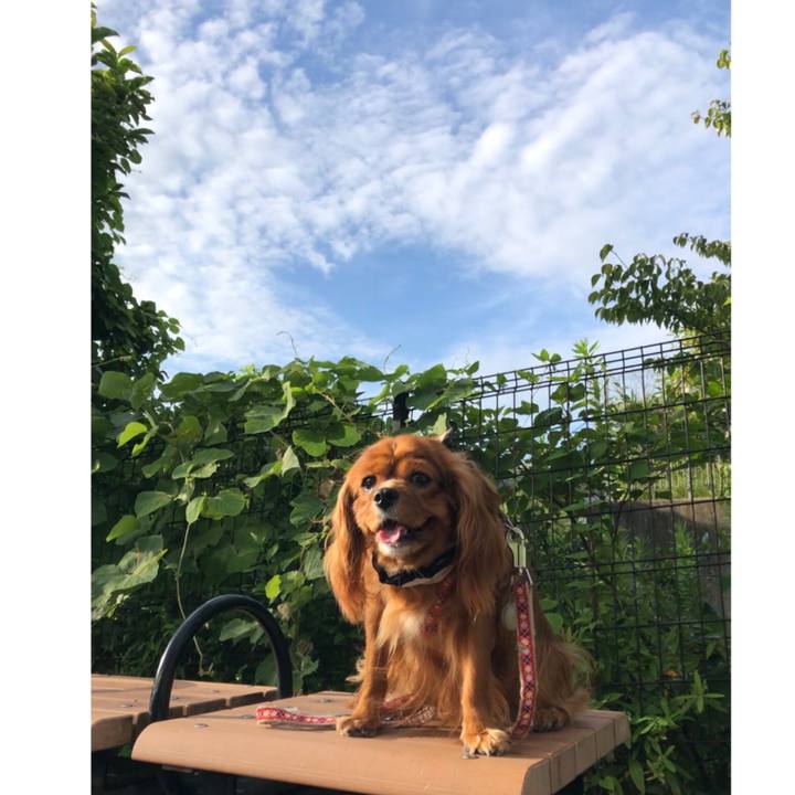 62fc35fe 856c 4c2a b93a 0923cfc17624 1596962208113