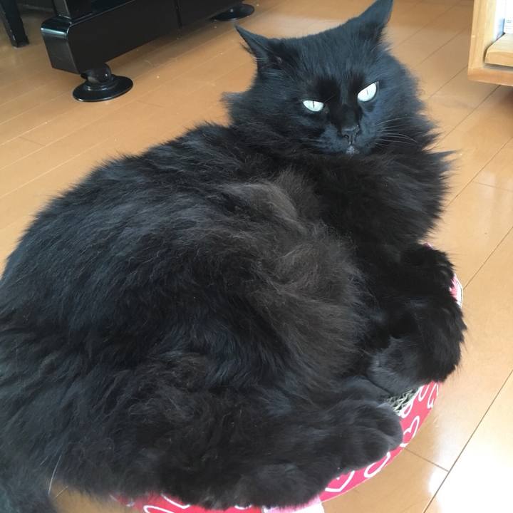 62fc3b00 1c40 49b2 a596 7ee2ae81c803 1574584654266