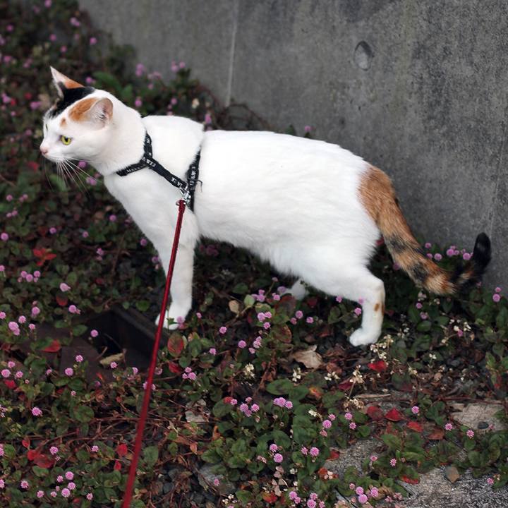 62fc3c46 ca47 4a40 a85f 1470e613b039 1610842185915