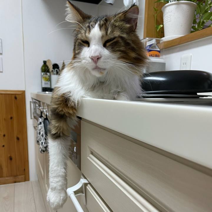 62fc4c9e 35b2 44b4 a9fe e961b2fece33 1663357370088