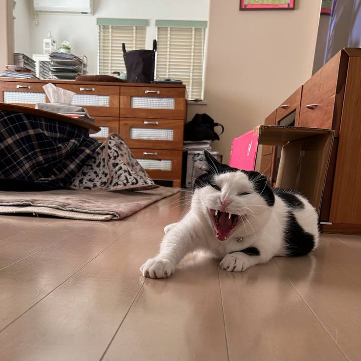 62fc5f9a d64a 4901 9c73 241ae793f280 1773097472573