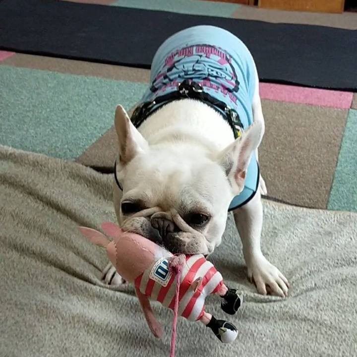 62fc8a3c 528c 4e84 9079 c787c7190459 1636241798899