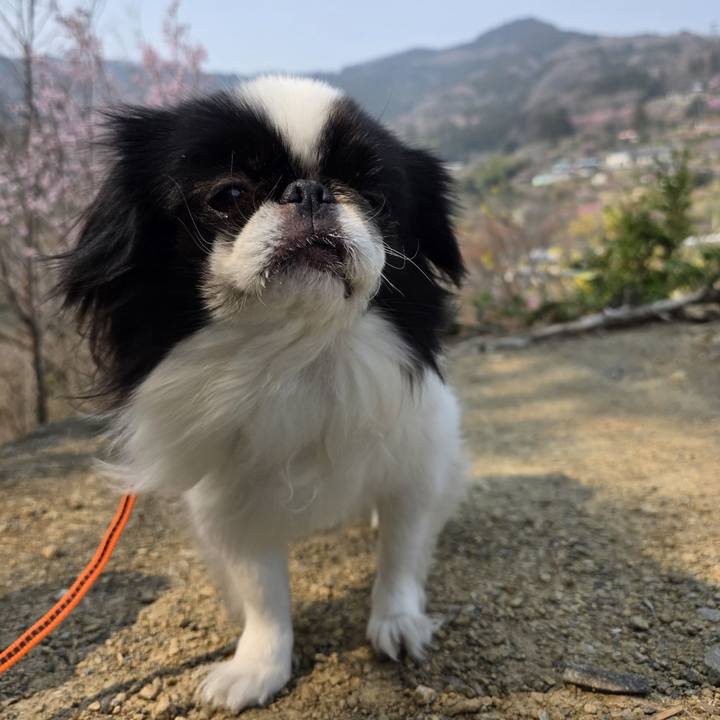 62fca5ab c99c 458e 921d 333cb23e9dc5 1742959939056