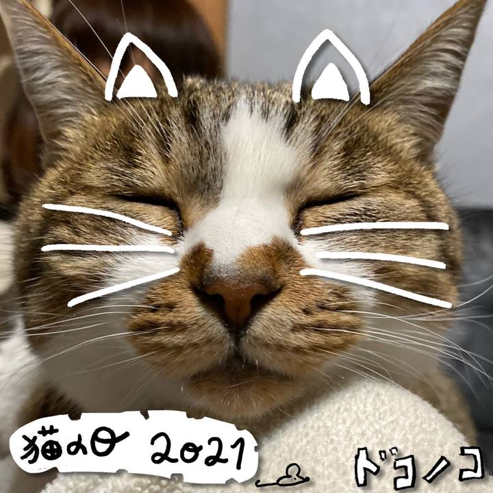 62fcb69a 220f 4f8d 99a4 3a686d33ec95 1613988684653