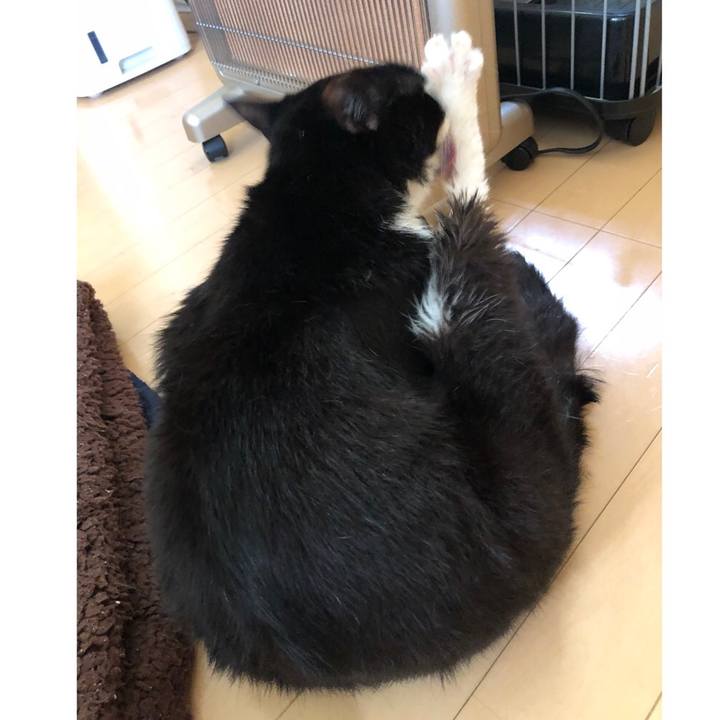 62fcc4d3 1b20 4c4f 946d ab1e58057ae4 1645114303289