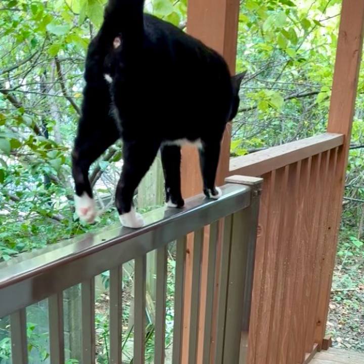 62fcef7c af89 48a6 aa40 9eefcbc8006e 1758527131192