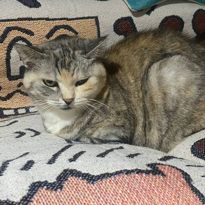 62fcf26d 826b 4c02 a97c 0c5bd68f1e56 1730895404052