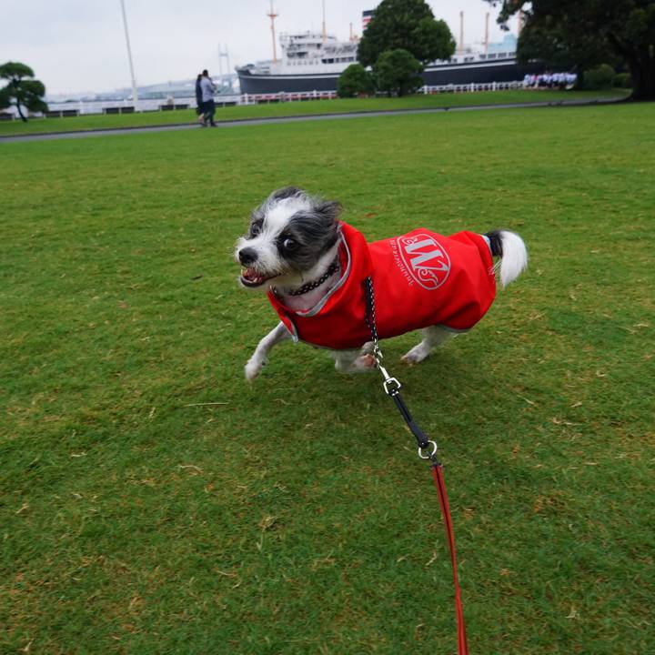 62fcf4a8 ca57 435a a1ff f6e9436072cc 1570787046275