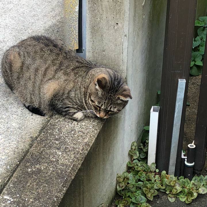 62fd0856 acf0 4922 a9f8 213d2aef4fa8 1534069707415