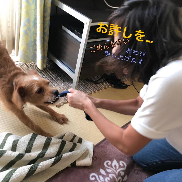 62fd792d 906b 41bd ab81 ed14d3a07753 1568883470818