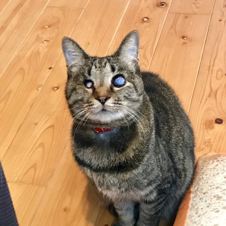 62fdc815 ed63 41f2 a26c ad666a0a351c 1553654933798