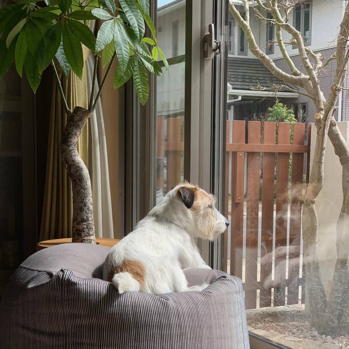 62fdcfce f780 4c6c 8ee2 69abb8d21766 1647518902369