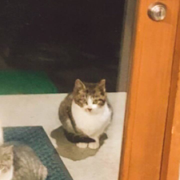 62fdf8c2 1e34 43cb 8d13 ec6b85b81768 1519461733834