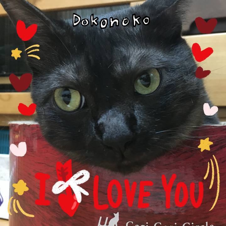 62fe1234 6e6a 479d ad78 15a0e2ec206a 1706775756956