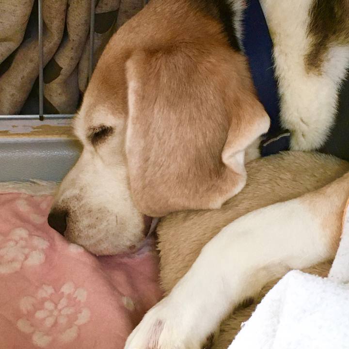 62fe457f 4918 4f16 98d9 6069c31bb75a 1573790497473