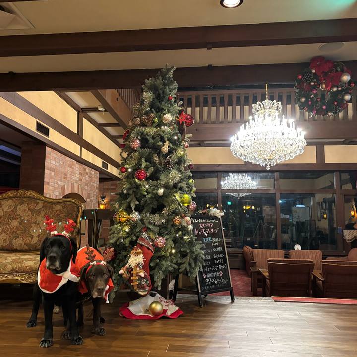 62fe5071 6d1d 49f1 98ed 56d5ec1c1929 1766581848383