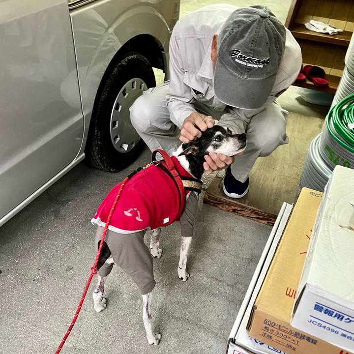 62feaa01 a645 4293 8a2b 3fd41acd7c7c 1648506730548