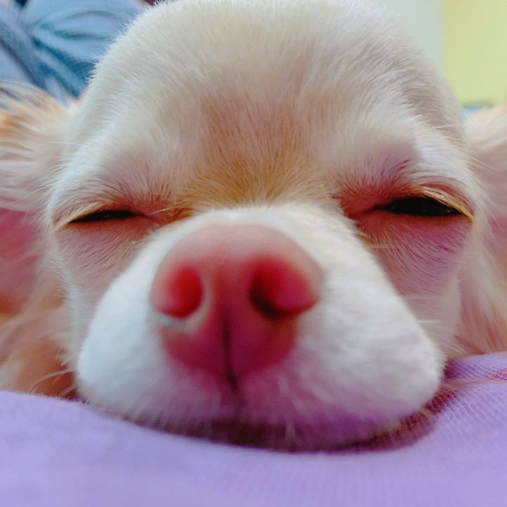 62ff1a27 61b2 477a b44d 9461a737727e 1621227547002