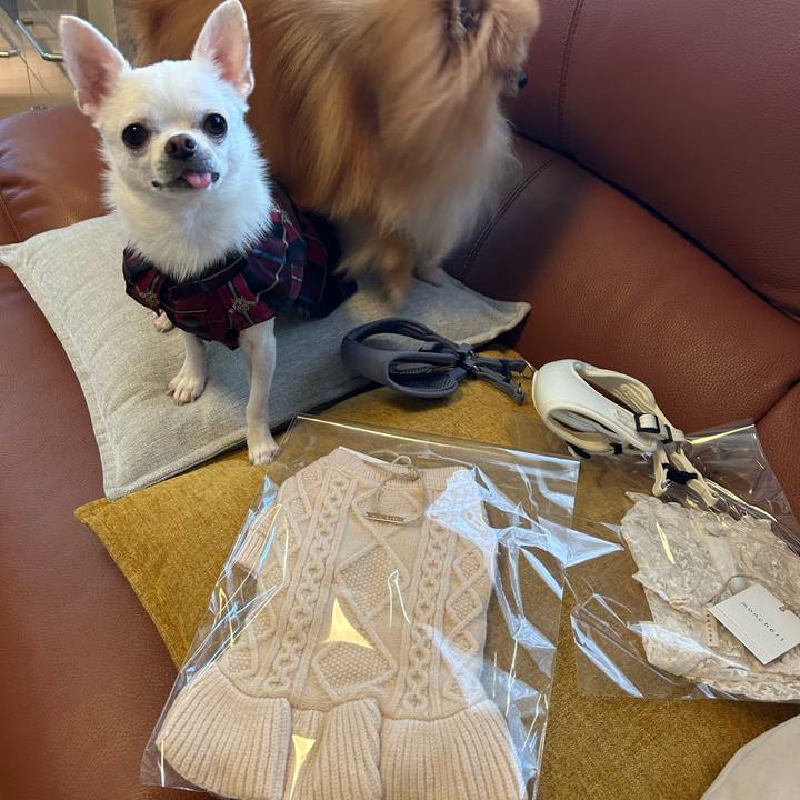 62ff3870 d503 4ebb 90d9 4e491d1d1224 1759909258958