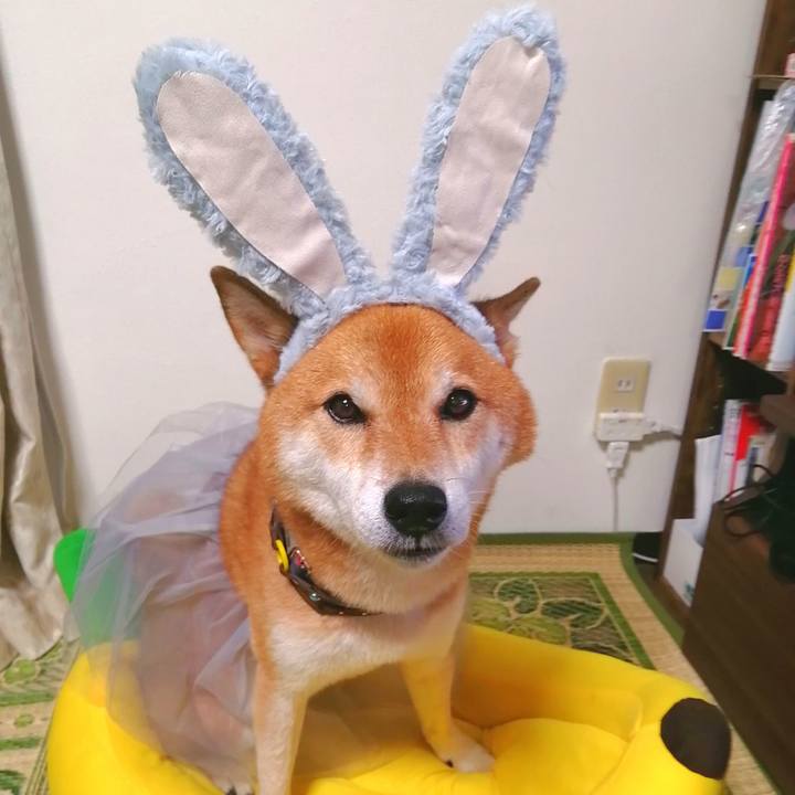 62ff4762 9beb 48b2 9349 3bee26a3dcac 1661854784131